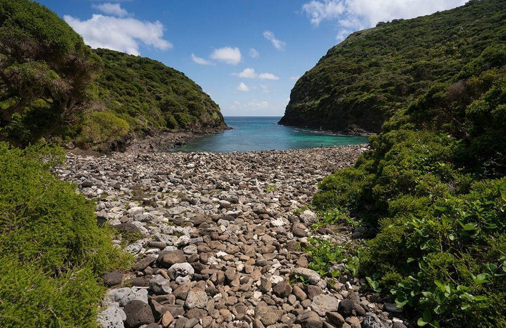 Arajilla Retreat Villa Lord Howe Island Eksteriør bilde